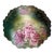 Antique Hand Painted Austrian Porcelain Plate #5806 For Sale