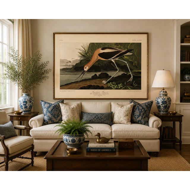 American Avocet, Museum Style Audubon Bird Print, 30" X 20" For Sale In Buffalo - Image 6 of 11