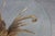 Metal Sheaf of Wheat Coffee Table in the style of Coco Chanel, France, 1960 For Sale - Image 7 of 12