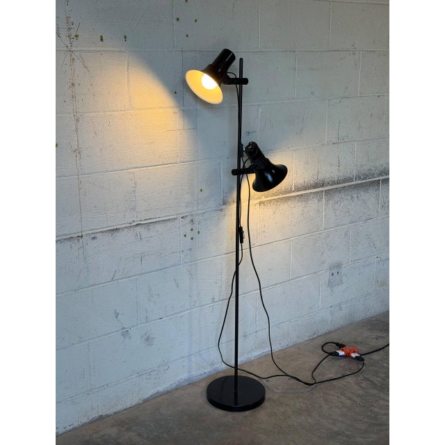 This adjustable dual-shade floor lamp delivers sleek task lighting with an articulating frame. Its slender silhouette...