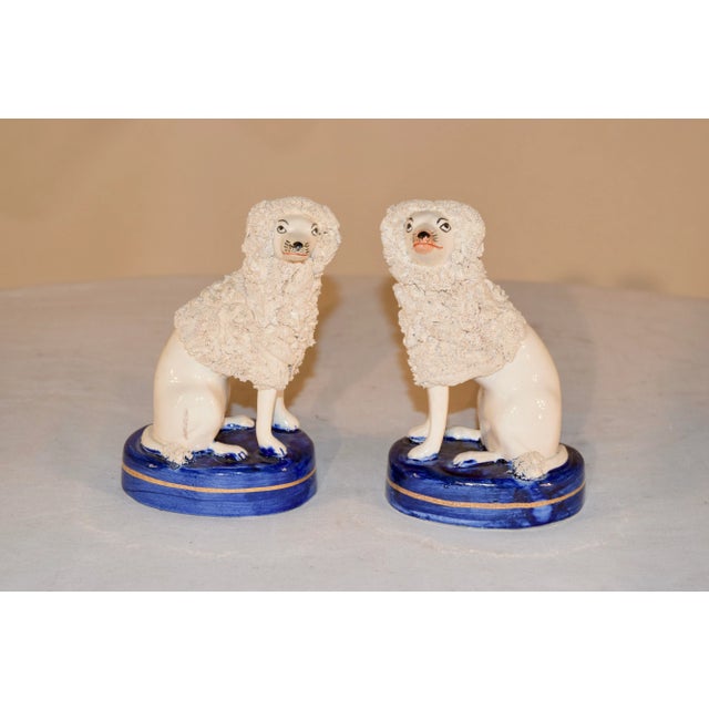 Pair of vintage poodles, made in the Staffordshire region of England with flocking accents and resting on a cobalt base...