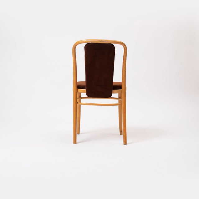 Mid-Century Modern Bentwood Chair in Brown Velvet by Ton For Sale - Image 3 of 8