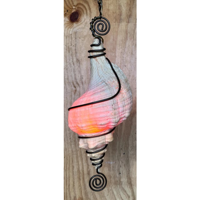 Modern Bronze Mounted Conch Shell Chandelier /Pendant For Sale - Image 4 of 12