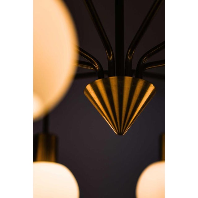 1950s Scandinavian Modern Chandelier in Brass and Opaline Glass, 1950s For Sale - Image 5 of 11