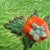 Mid-Century Modern English Majolica Cabbage Butter or Cheese Dish With Tomato Finial, Circa 1920s For Sale - Image 3 of 10