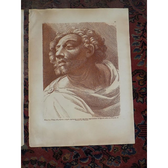 Renaissance Antique 18th Century Elephant Folio Sepia Etchings After Raphael - a Pair For Sale - Image 3 of 6