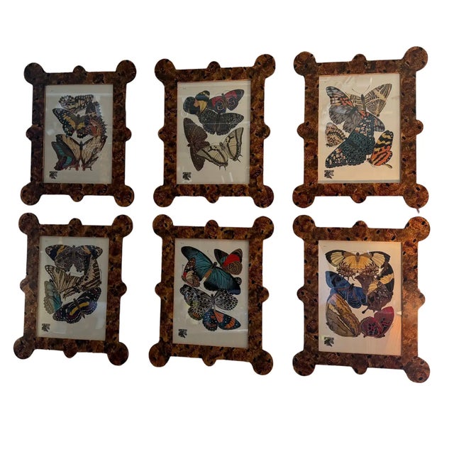 "Papillions" by Eugene Allain Seguy in hand painted faux tortoiseshell frames by our sister company, "The Fabulous...