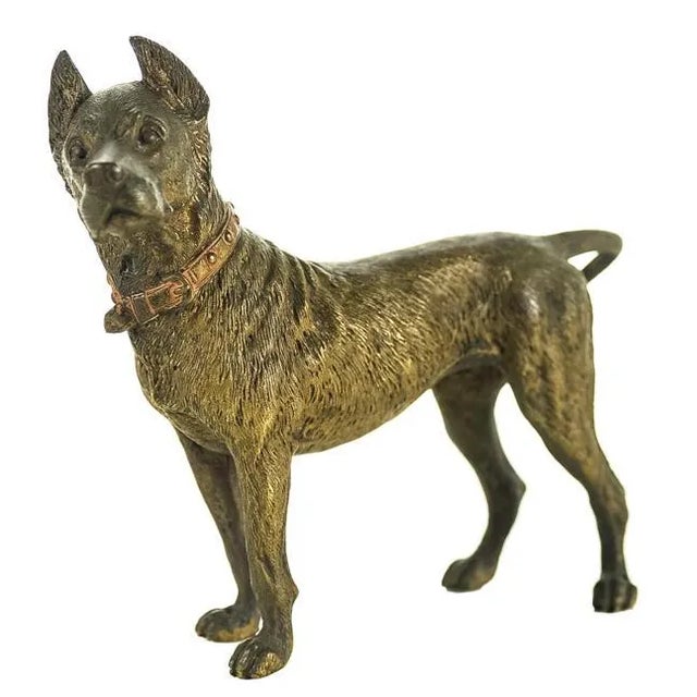 Original Bronze Pit Bull Sculpture For Sale