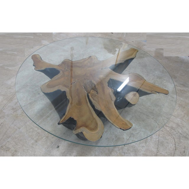 Contemporary Organic Modern Star Teak Root Coffee Table For Sale - Image 3 of 10