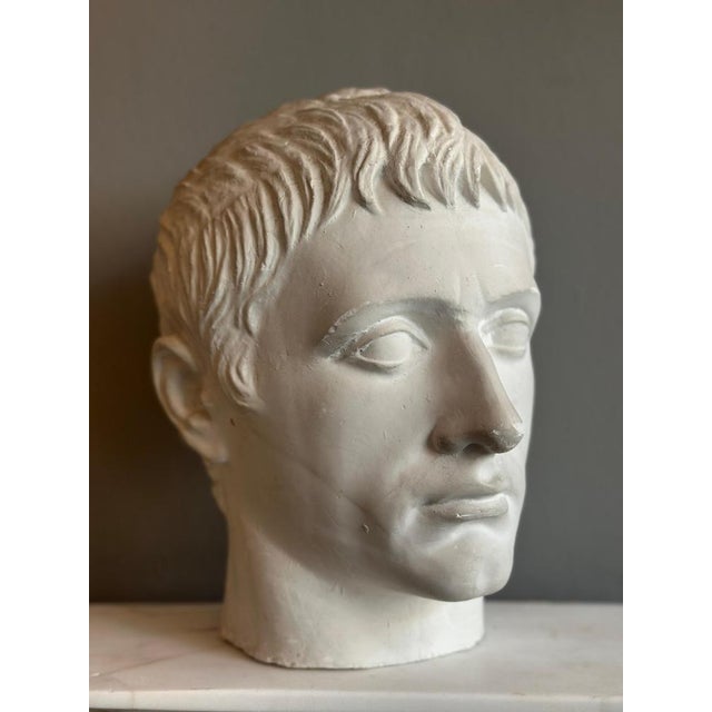 Young and Older Julius Caesar Plaster Heads, Set of 2 For Sale - Image 9 of 15