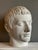 Young and Older Julius Caesar Plaster Heads, Set of 2 For Sale - Image 9 of 15