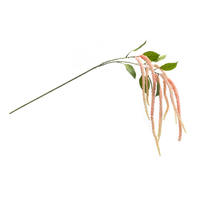 Bring vibrant beauty into your space with this stunning Amaranthus Floral Stem set! With elegant stems in a soft pink hue,...