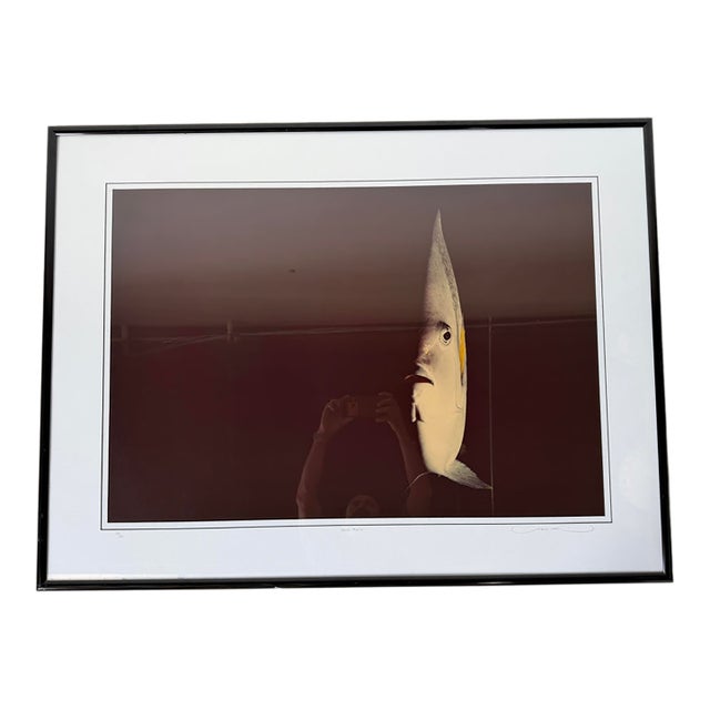 Large - 1980s David Leach “Angel Profile” Limited Edition Fine Art Photography, Signed & Numbered 28/250, Framed For Sale