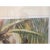 "Coconuts" Lithograph by Don Gabbert For Sale - Image 9 of 11
