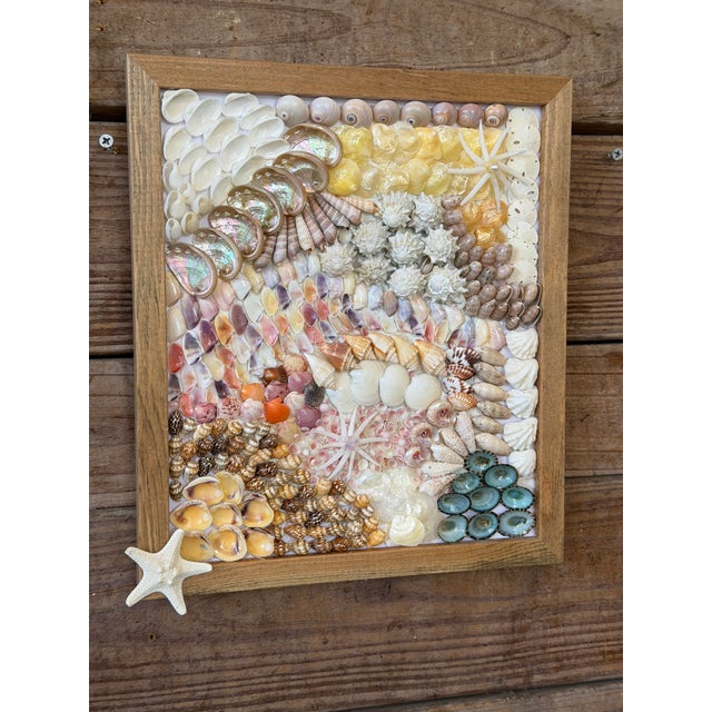 Custom Framed Coastal Seashell Wall Art For Sale - Image 10 of 10