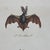 French Antique 18th Century "La Chauve" Bat Engraving Hand Colored Artwork For Sale - Image 4 of 6
