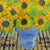 Royston du Maurier-Lebek, Yellow Daisies, Oil Painting on Canvas, Framed For Sale - Image 4 of 15