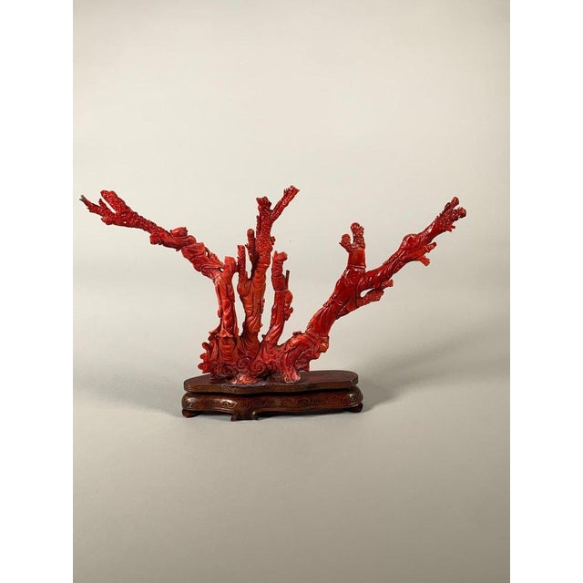 Large Coral Sculpture, China, Early 20th Century For Sale - Image 11 of 12