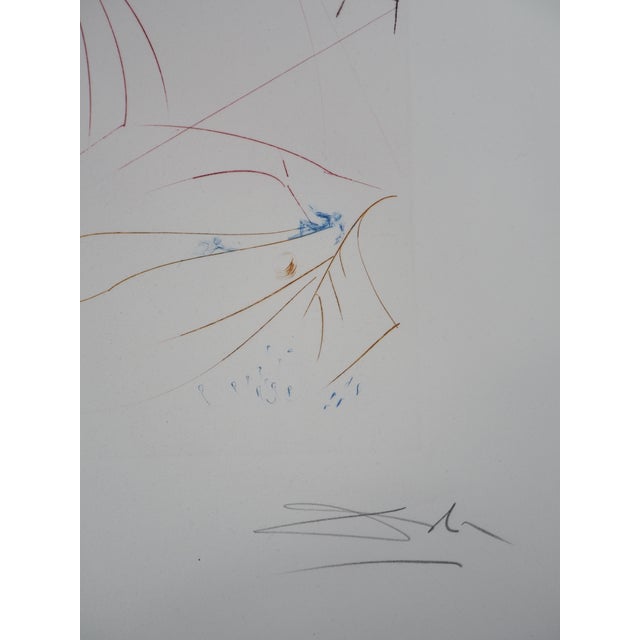 Salvador Dali, The Flying Dutchman, Original Engraving For Sale - Image 6 of 9