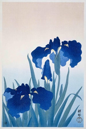 Blue Iris Flowers by Ohara Koson, Japanese Woodblock Print, 40" X 60"