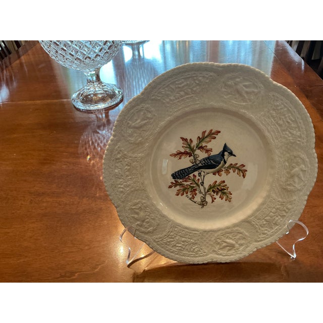 Description a set of 8 vintage Royal Cauldon “Aviary” pattern plates, Bristol Ironstone, made in England. Each 7.5” plate...
