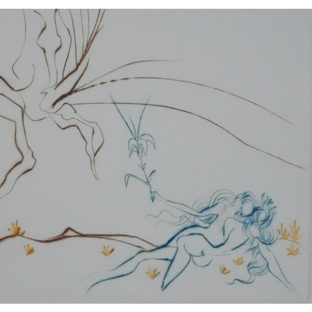 Salvador Dali, Paradise Lost: The Tree of Knowledge, 1974, Engraving For Sale - Image 4 of 11