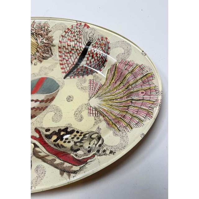 Glass John Derian Signed Nautilus Seashell Decoupage Glass Platter 14” For Sale - Image 7 of 8