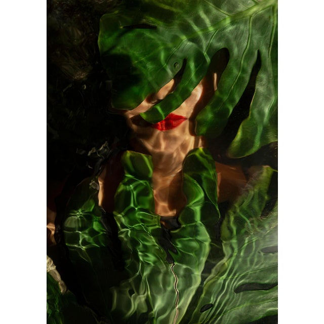 conceptual photography on limited edition print digital print signed and numbered on the back This piece is designed in...