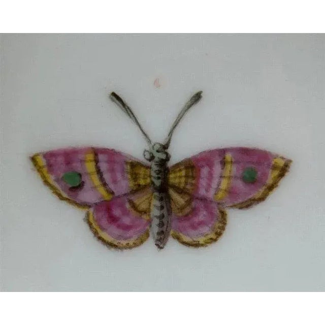 KPM Porcelain 19th Century German Berlin KPM Porcelain Butterflies & Birds Salt Cellar Decorated For Sale - Image 4 of 11