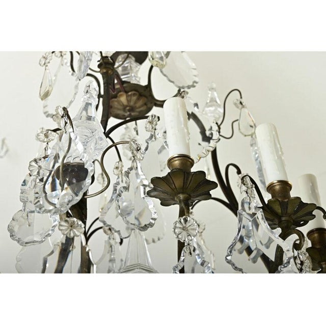 French 19th Century Louis XVI Style Chandelier For Sale In Baton Rouge - Image 6 of 12