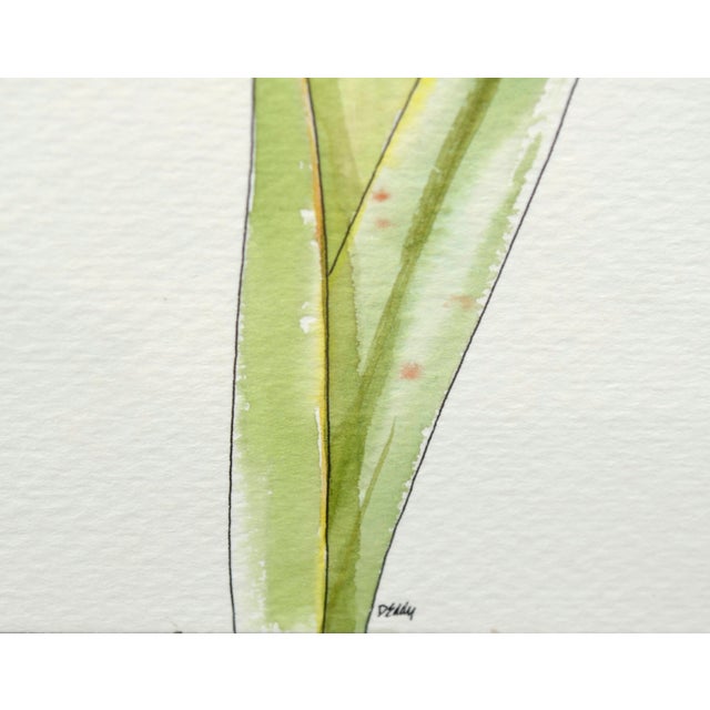 Iris - Watercolor and Ink Floral Study, American Realist, Signed, 1985 by Deborah Eddy For Sale - Image 4 of 5