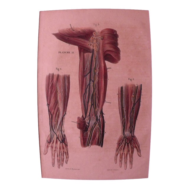 DC Gallet, 10 The Body of Man by Dr. Galet, 1841, Lithographs For Sale