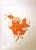 1970s Herend Hungary Chinese Bouquet Rust 7 Inch Square Bowl Apponyi Orange 1188 Hand Painted 1970s Porcelain Fruit Dish For Sale - Image 5 of 12