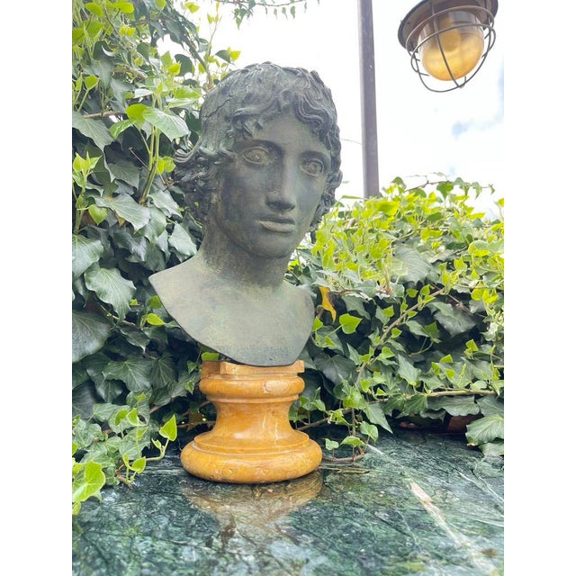 Grand Tour Bronze and Marble Bust of a Youth For Sale - Image 6 of 12