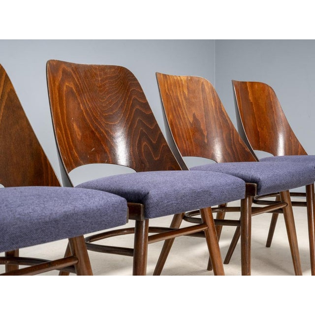 514 Chairs attributed to Oswald Haerdtl for TON, Czechoslovakia, 1950s, Set of 4 For Sale - Image 4 of 13
