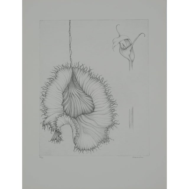 Gochka Charewicz, La fleur éclose, Lithograph For Sale