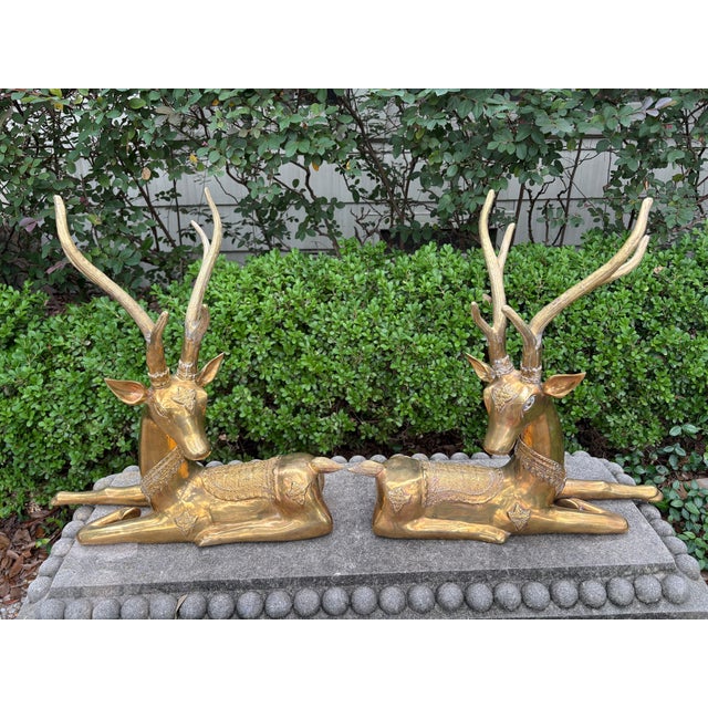 Pair Of Hollywood Regency Brass Stags. Offered is an impressive pair of vintage solid brass opposing reclining stags or...