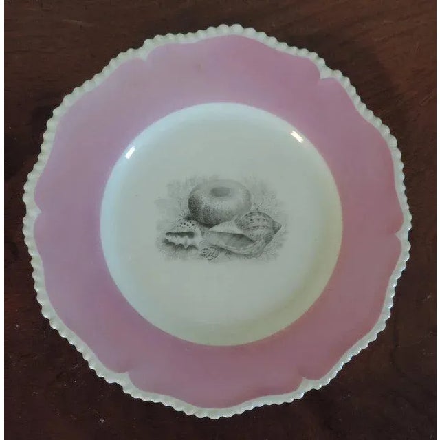 19th Century Early 19th Century English Regency Worcester Flight Barr Porcelain Sea Shell Plate For Sale - Image 5 of 10