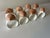 Vintage Bone China Seashell Napkin Rings - Set of 8 For Sale In Miami - Image 6 of 11