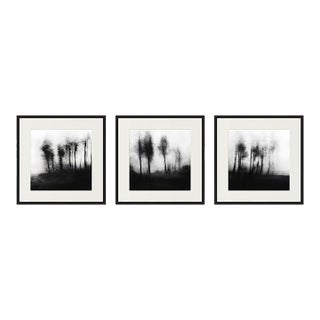 Set of 3 - 'Blurred Landscape' Black and White Photography - Art Wall Installation 60' X 20' For Sale