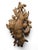 Antique Black Forest Carved Hunting Trophies, 1880s, Set of 2 For Sale - Image 3 of 12