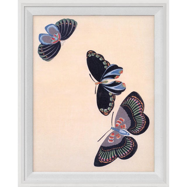 Mounted on deep panels, the detail and design of these antique, Japanese butterfly prints are mesmerizing en masse or apart.