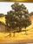 Mid 20th Century Richard Danskin Original Oil Painting Horse Farm Barn Rustic Landscape Carmel California For Sale - Image 9 of 12