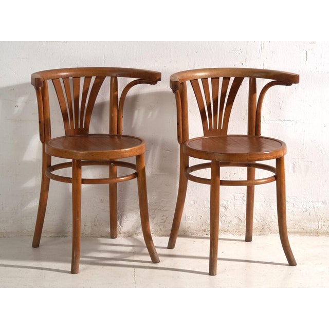 Wood Bentwood Chairs in the style of Thonet, Hungary, 1960, Set of 2 For Sale - Image 7 of 12