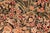 Art Nouveau 1990's Pak-Persian Black/Beige Wool Rug - 6'0'' X 8'11'' For Sale In New York - Image 6 of 9