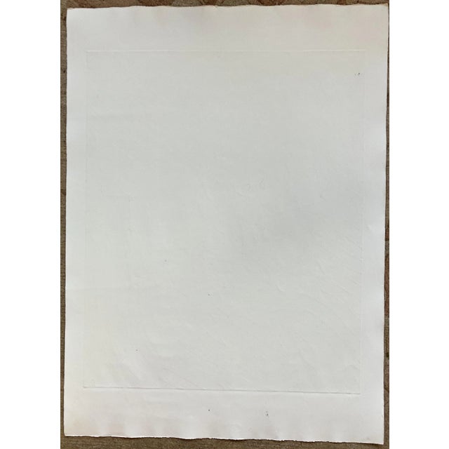 1971 Stanley William Hayter Color Viscosity Etching - Calculus For Sale In San Francisco - Image 6 of 7