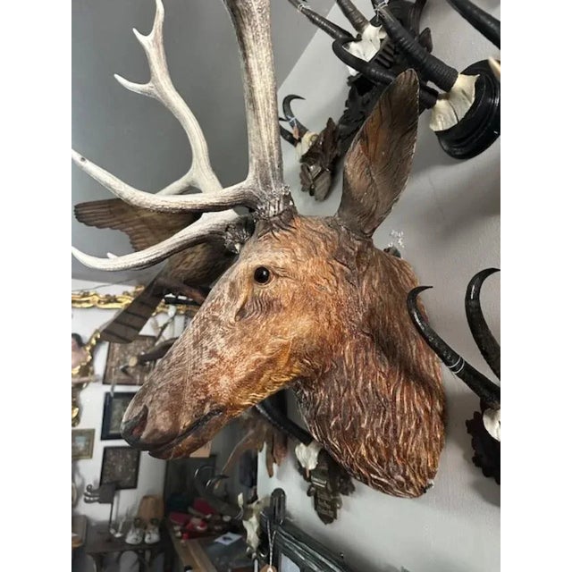 Late 19th Century Wood Carved Stag Head Blakc Forest Deer Carving For Sale In Aspen - Image 6 of 9