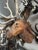 Late 19th Century Wood Carved Stag Head Blakc Forest Deer Carving For Sale In Aspen - Image 6 of 9