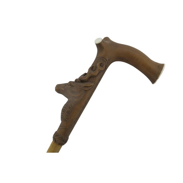 Deer Stag Head Carved Wood Handle Vintage Walking Stick Cane For Sale - Image 9 of 12