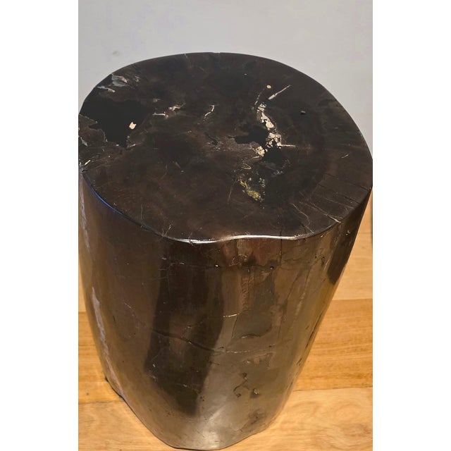 Contemporary Pair of Indonesian Petrified Wood Side Tables, Bali, Organic Modern, C. 2000s For Sale - Image 3 of 7